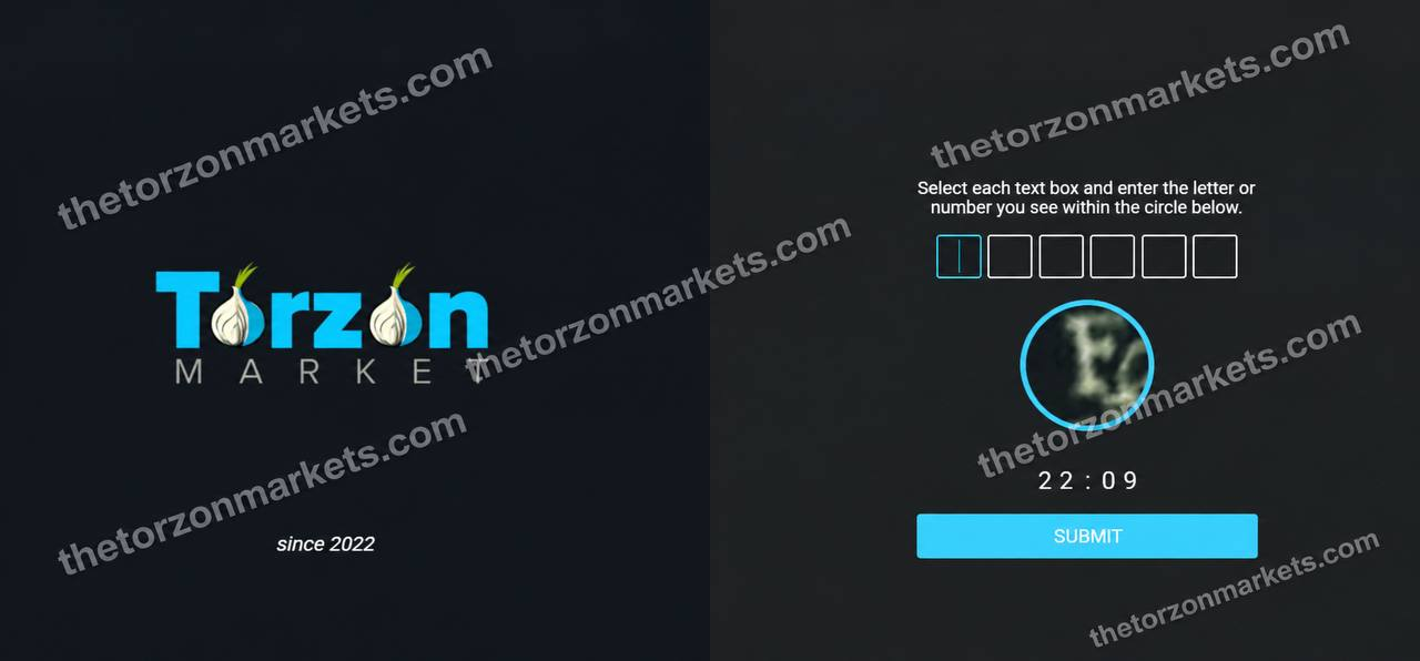 User-supplied example of an anti-bot verification screen